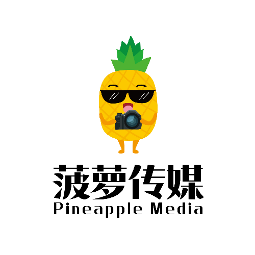 安徽菠萝传媒有限公司